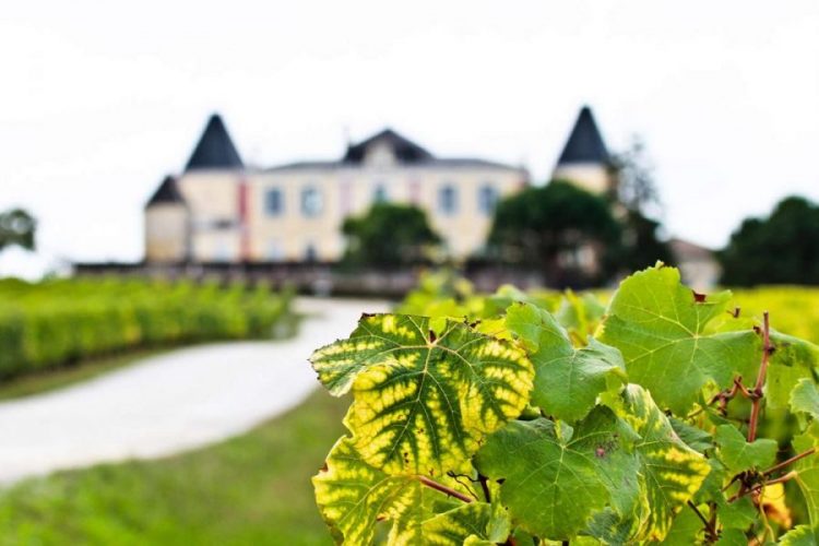 Chateau de France