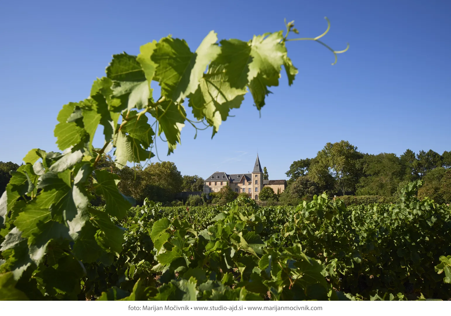 Chateau de Gourdon