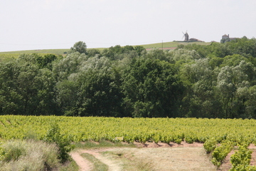 Chateau des Jean-Loron