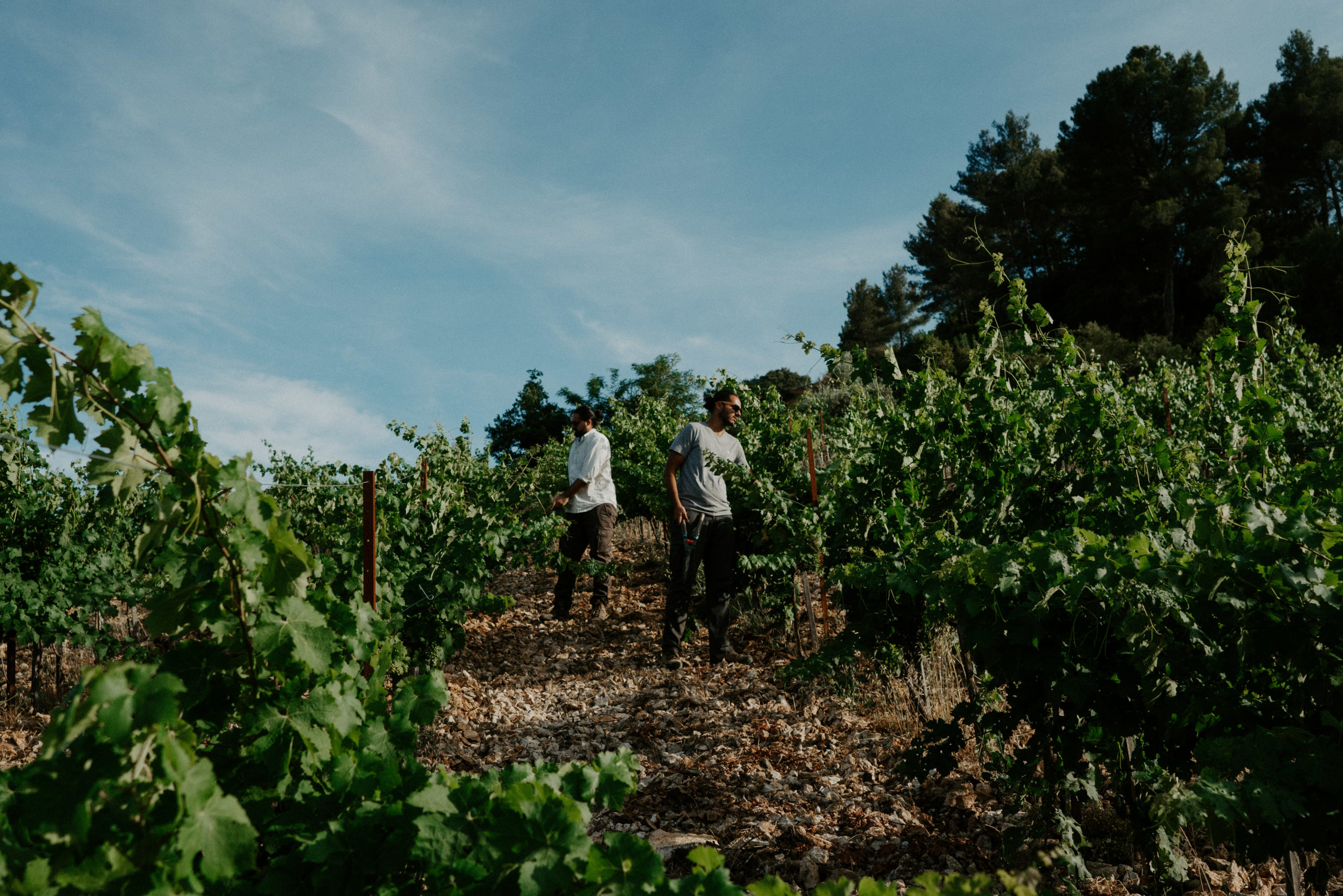 Chateau des Trois Sautets
