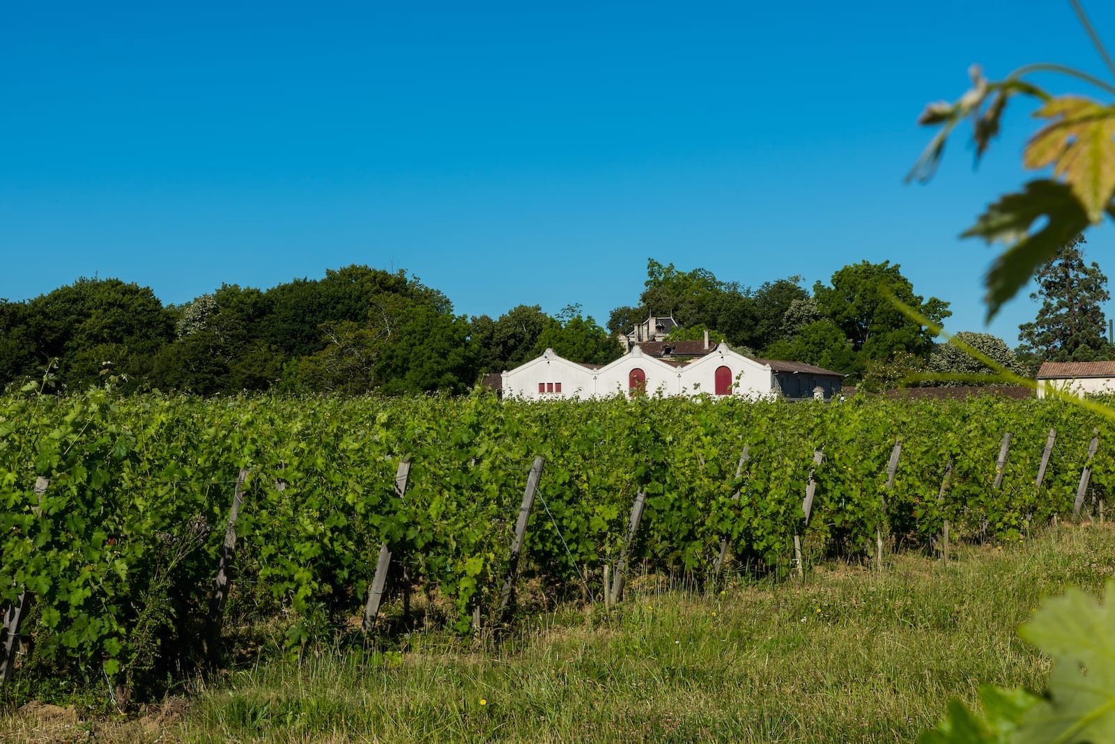Chateau Dillon