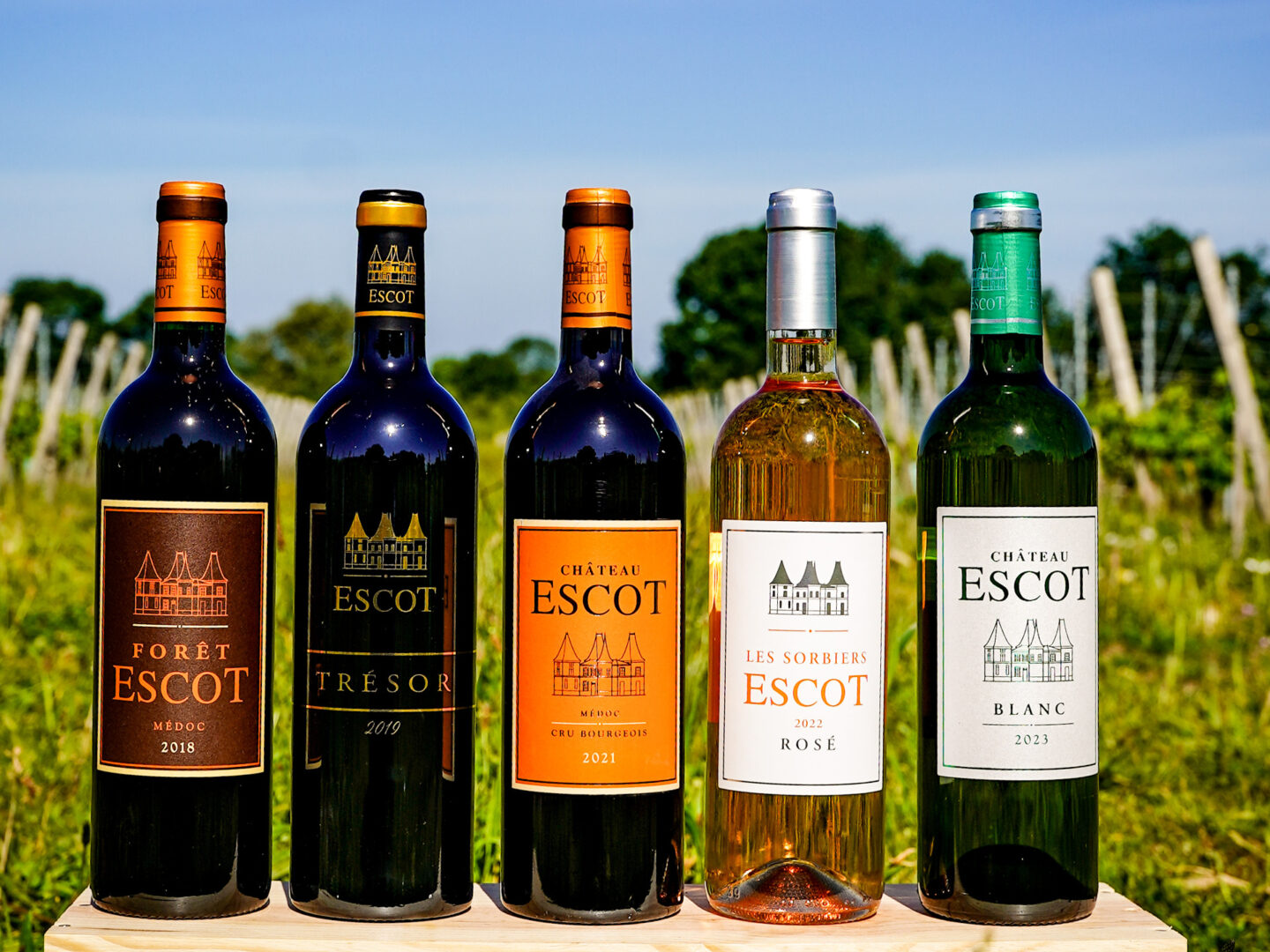 Chateau Escot