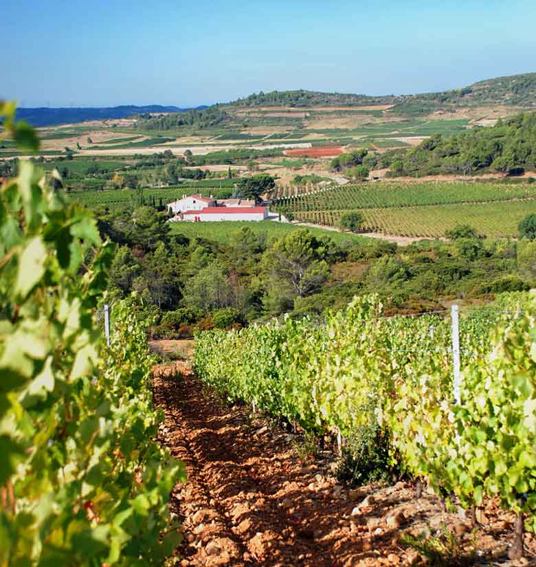 Chateau Fonsalade