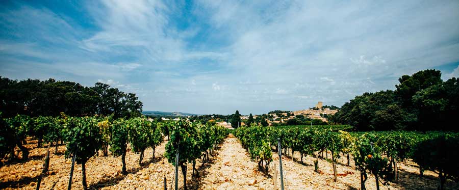 Chateau Fortia
