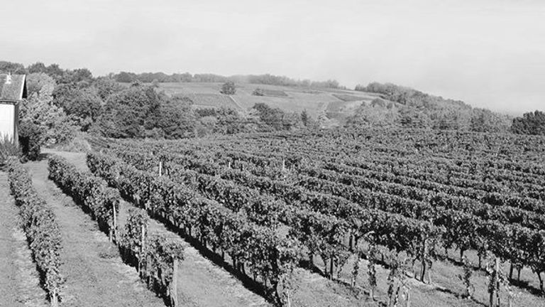 Chateau Haut Garriga