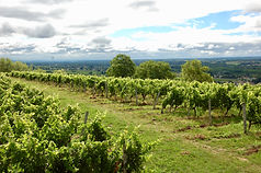 Chateau la Prioulette