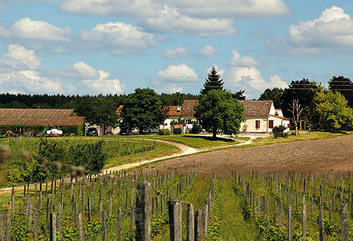 Chateau la Rayre