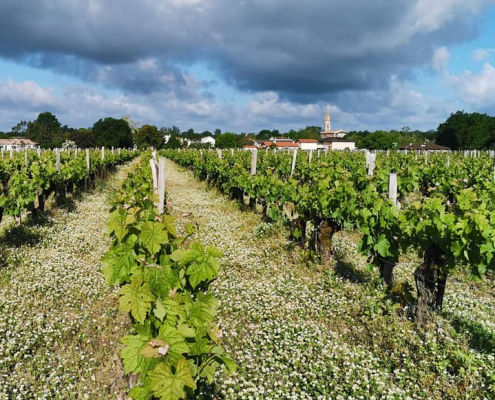 Chateau le Coteau