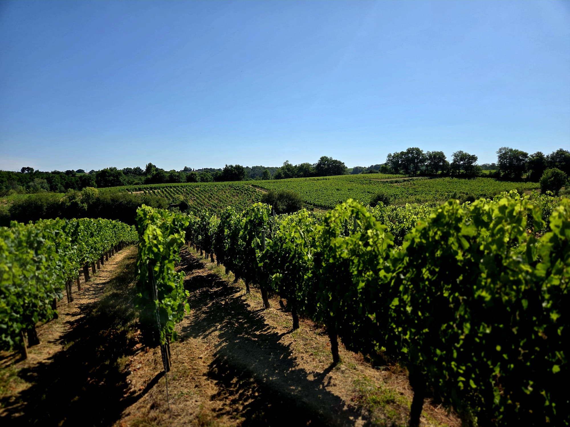 Chateau Martinat
