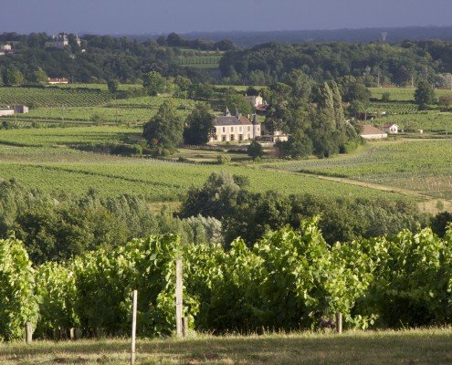 Chateau Mille Secousses et Chateau Mendoce