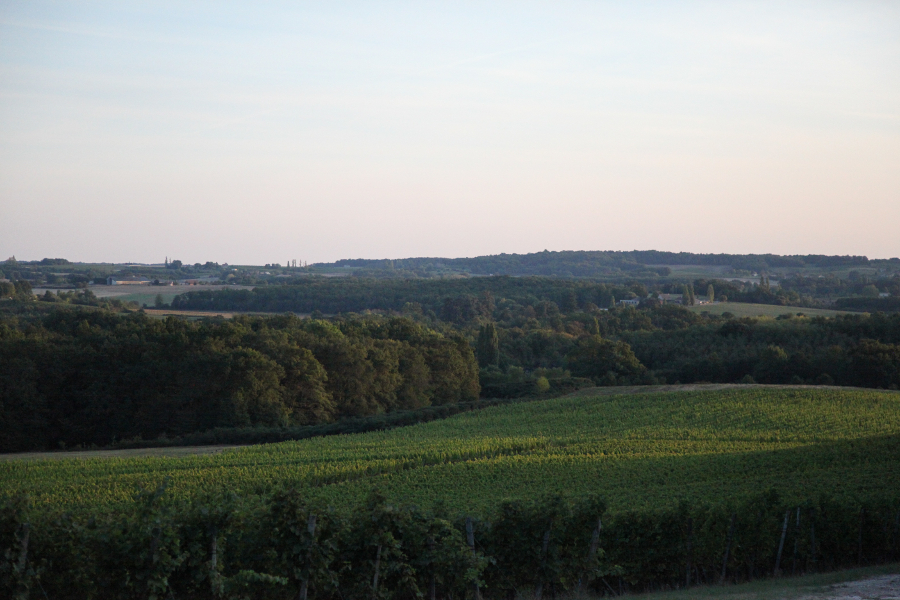 Chateau Montdoyen