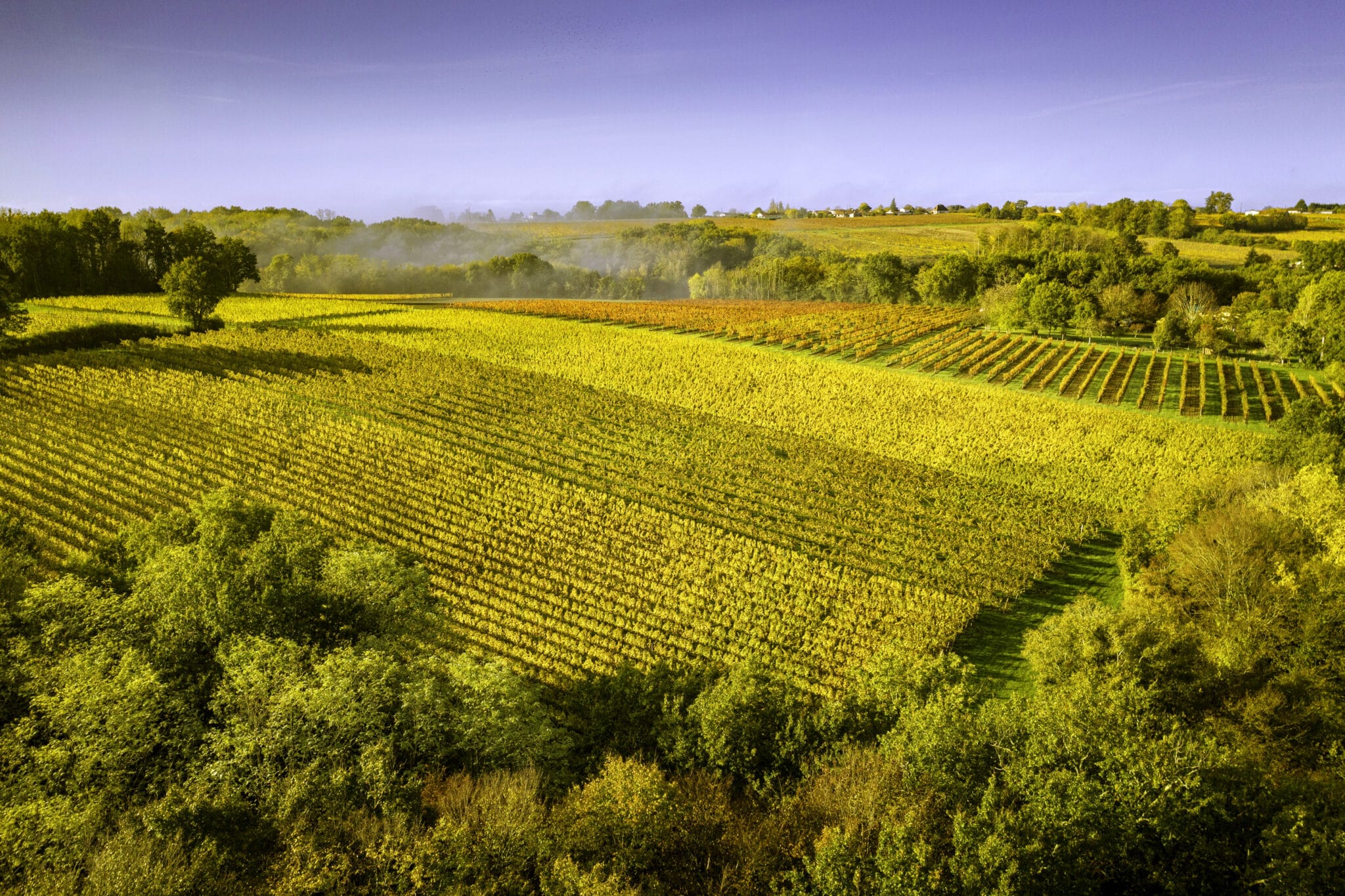 Chateau Moulin Caresse