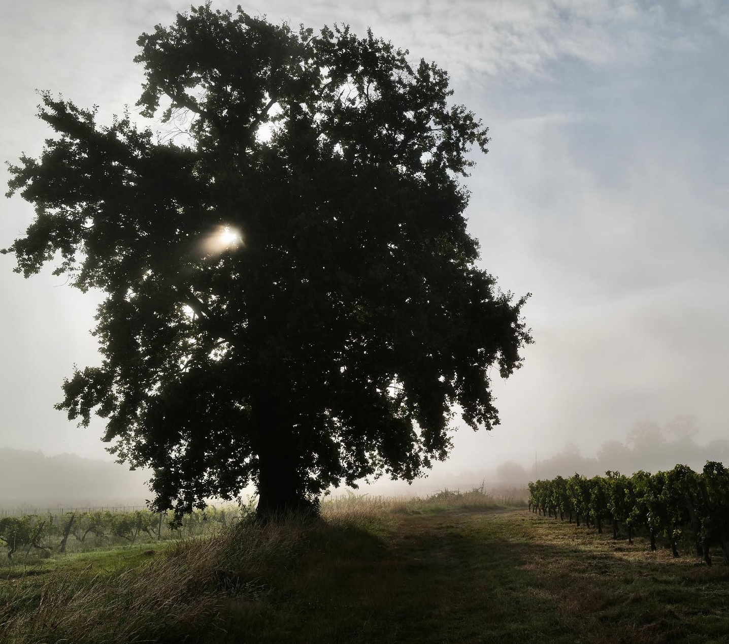 Chateau Penin