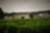 Chateau Pertignas