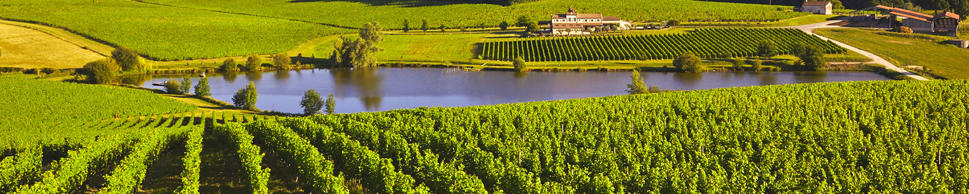 Chateau Pique Segue