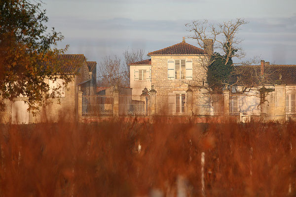 Chateau Saint Aubin