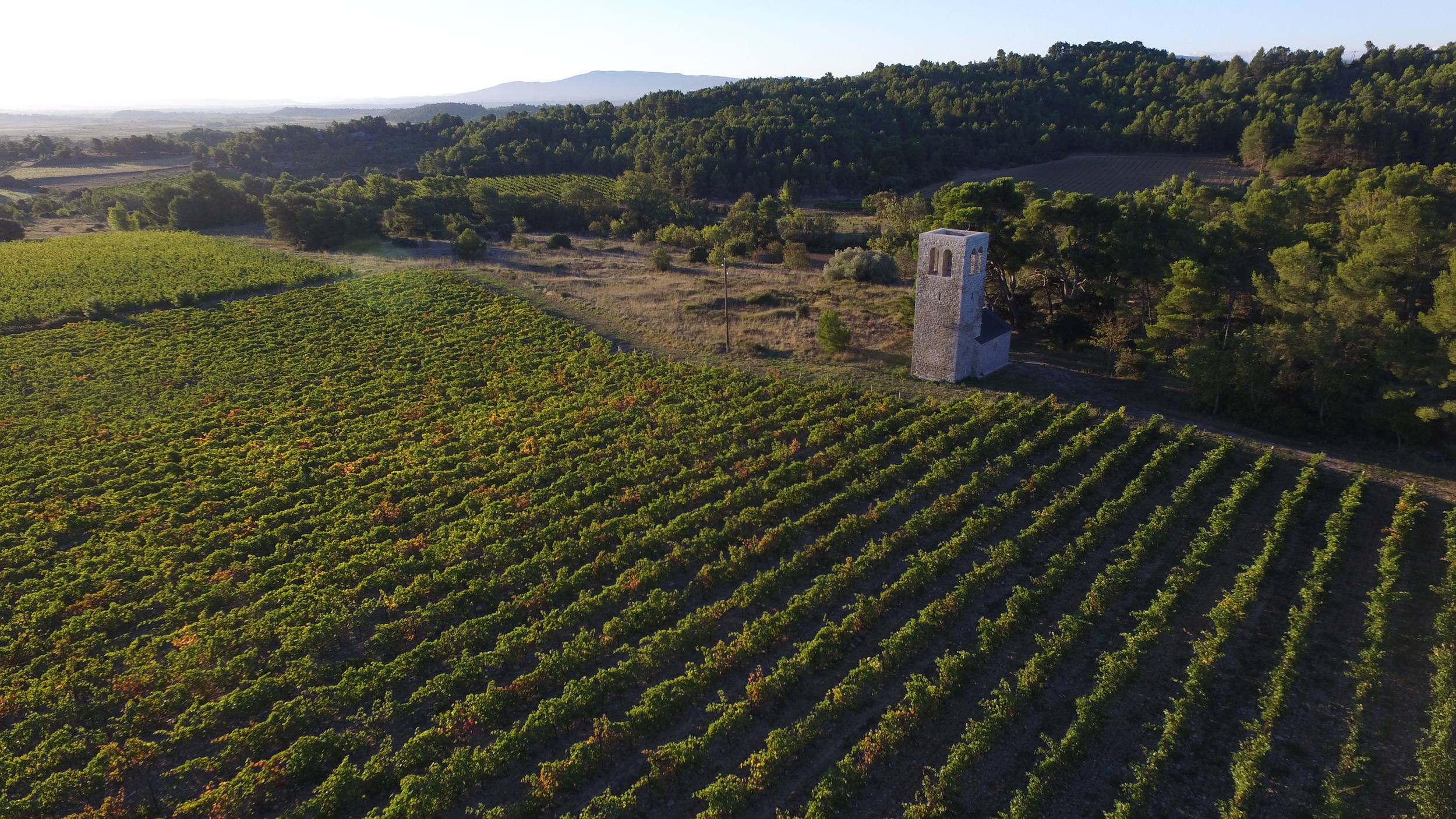Chateau Saint Jacques d'Albas