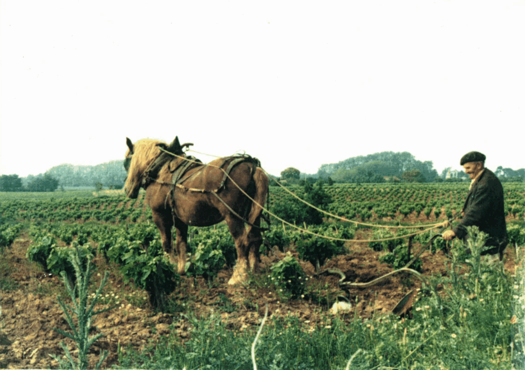 Chateau Serres