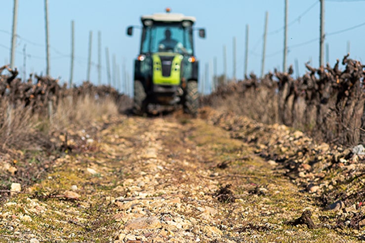 Clos d'Elpis
