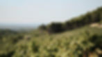 Clos de Caveau