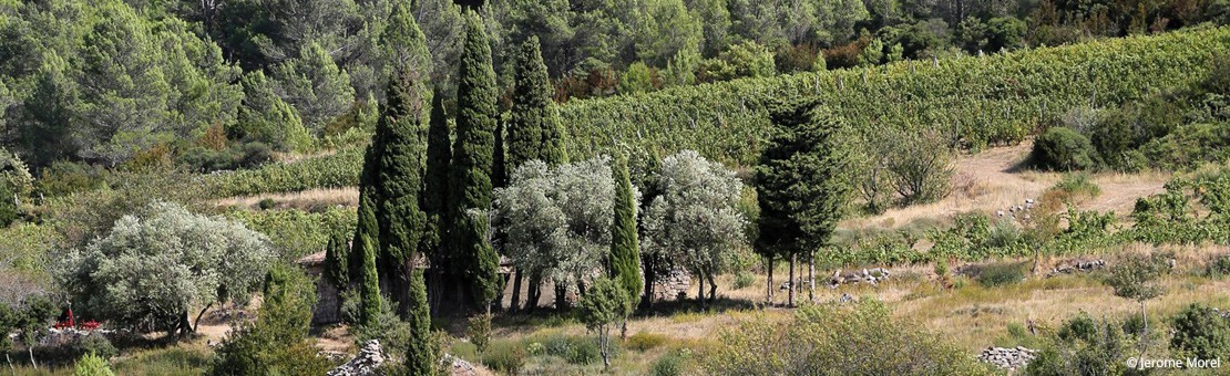 Clos de l'Anhel