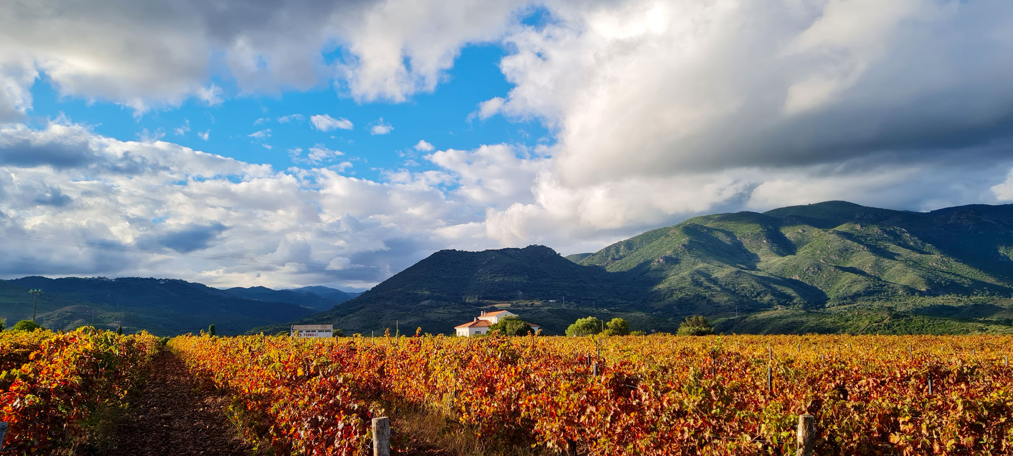 Clos Fornelli
