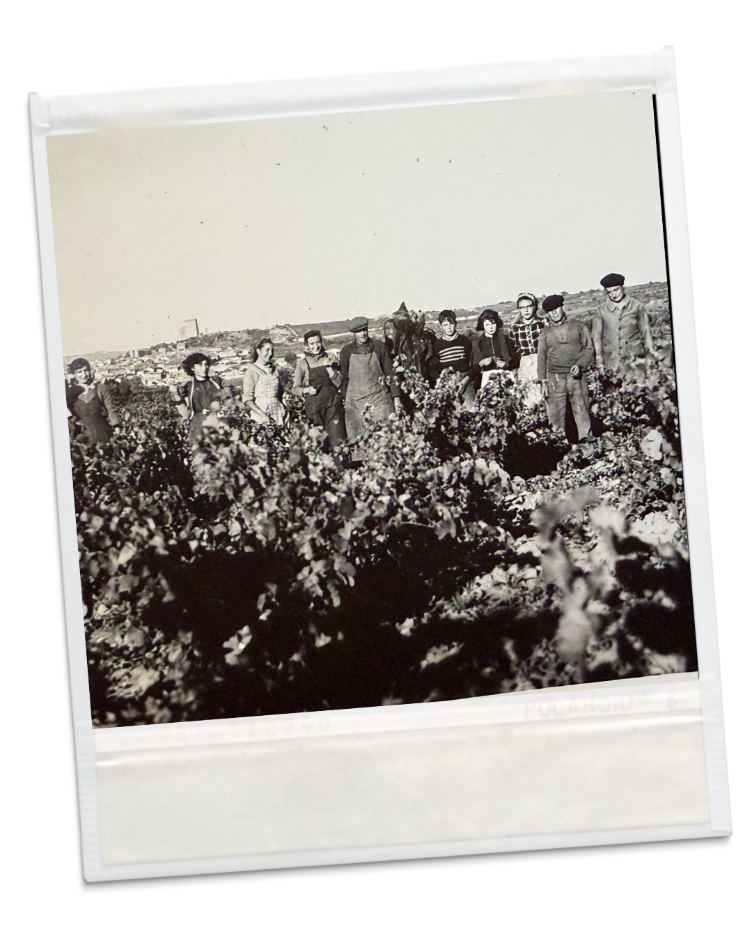 Clos Mont Olivet