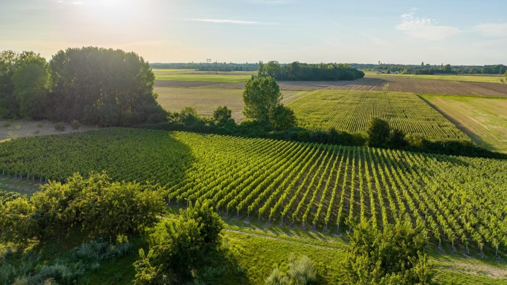 Clos Saint Fiacre