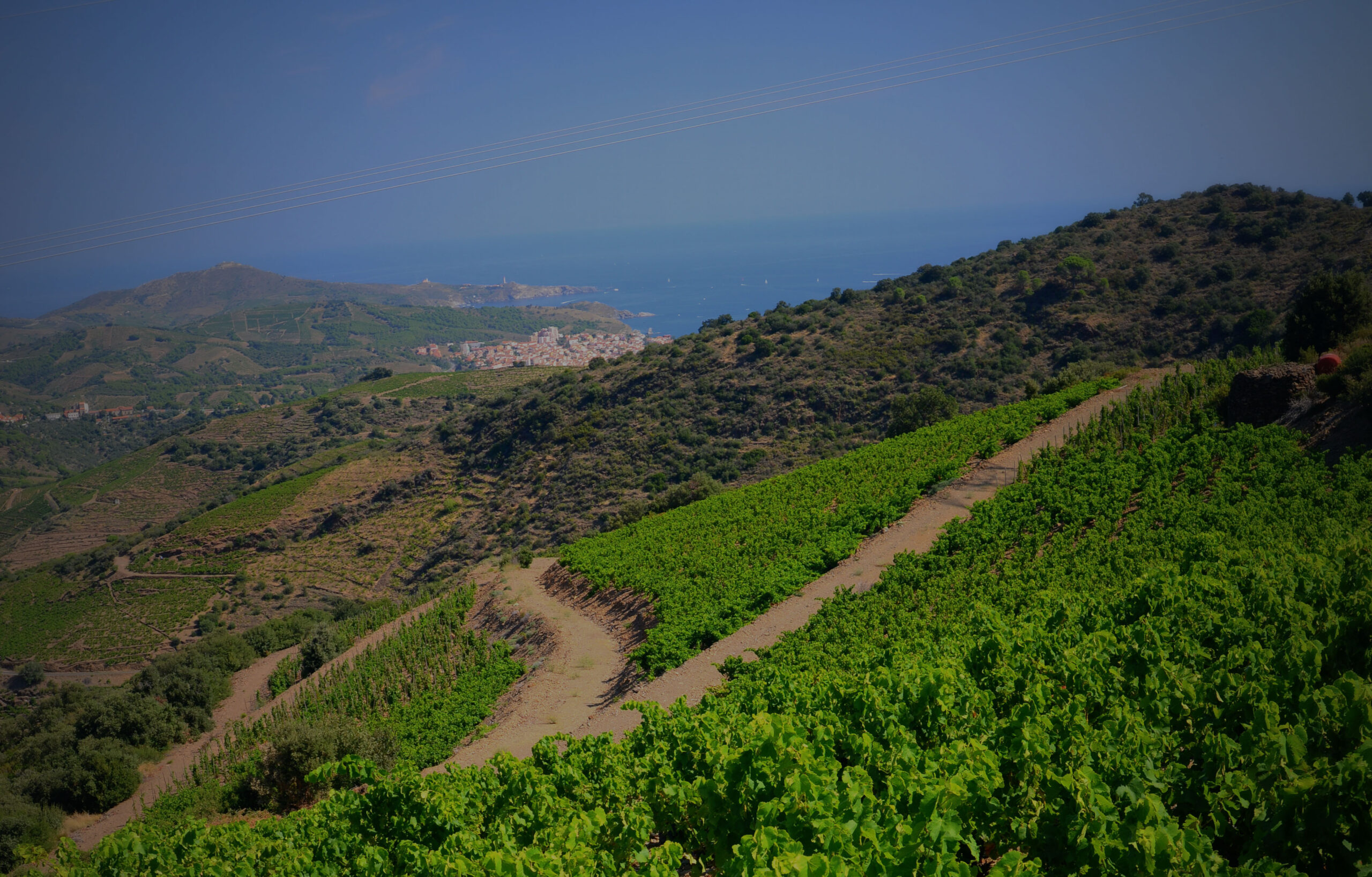 Clos Saint Sebastien