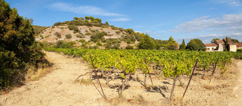 Domaine Alain Chabanon