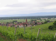 Domaine André Ehrhart et Fils