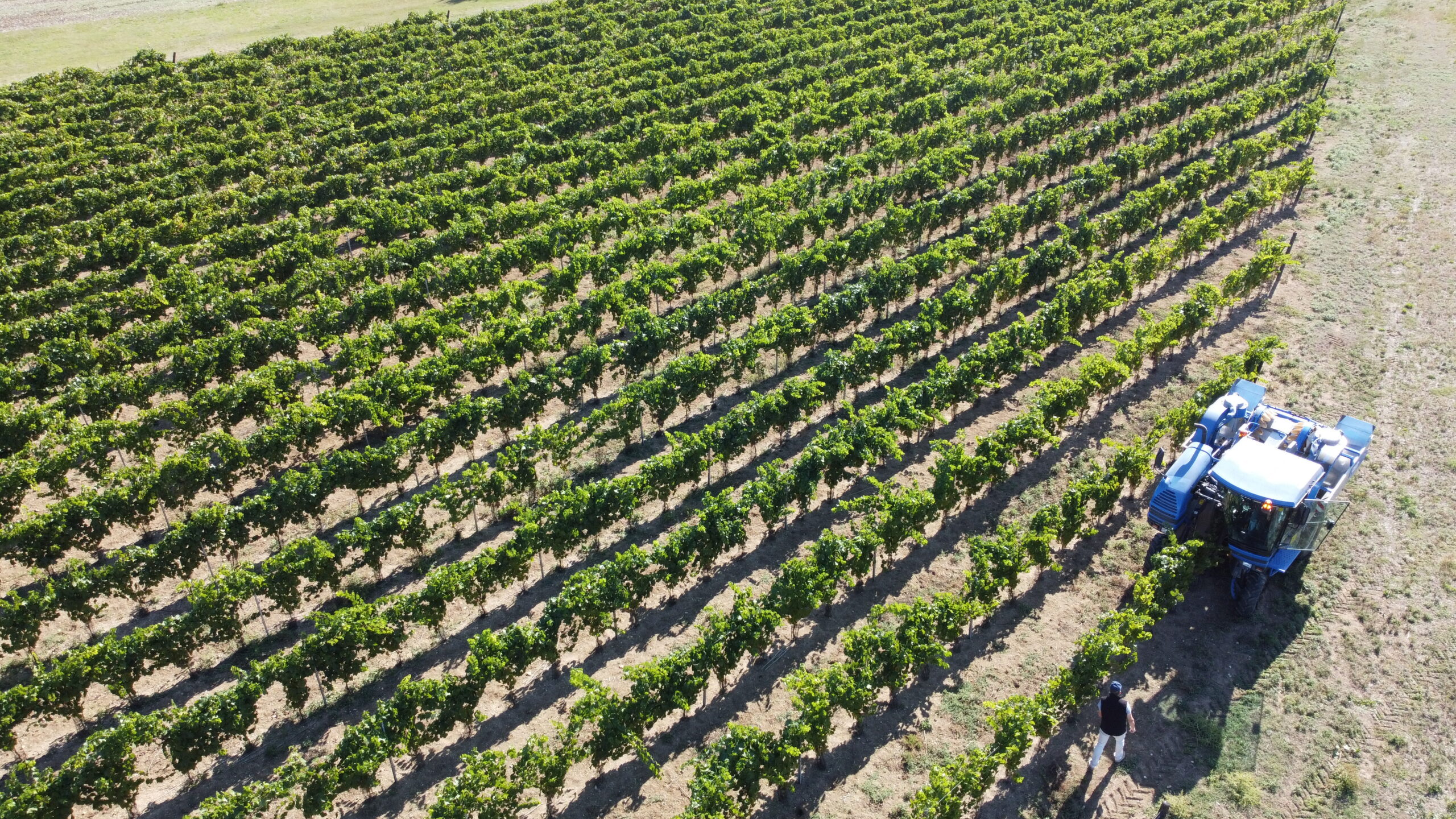 Domaine Anne Bléchet