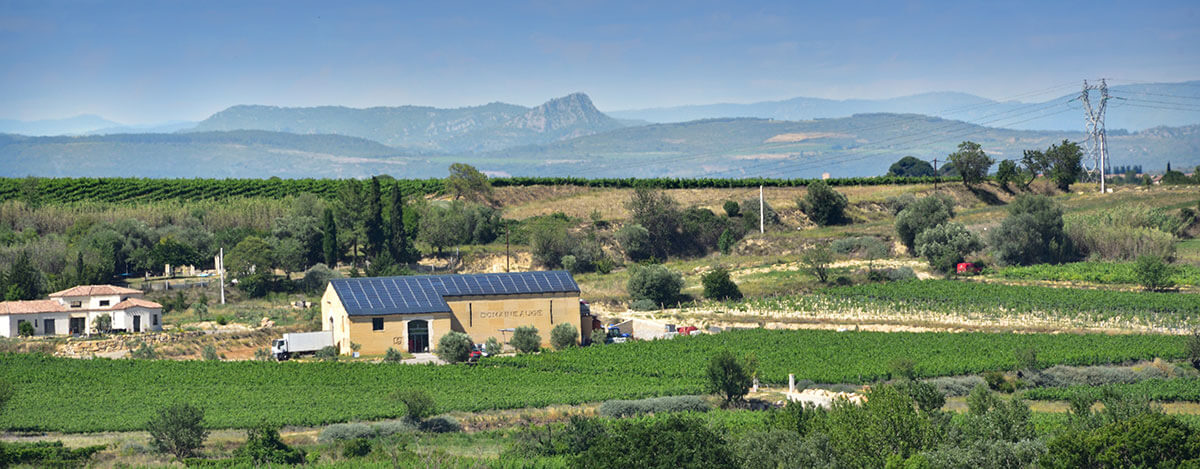 Domaine Auge