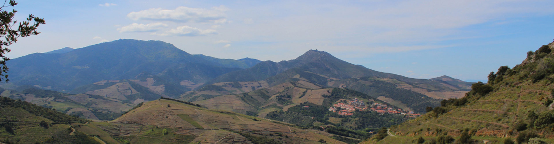 Domaine Augustin Parcé