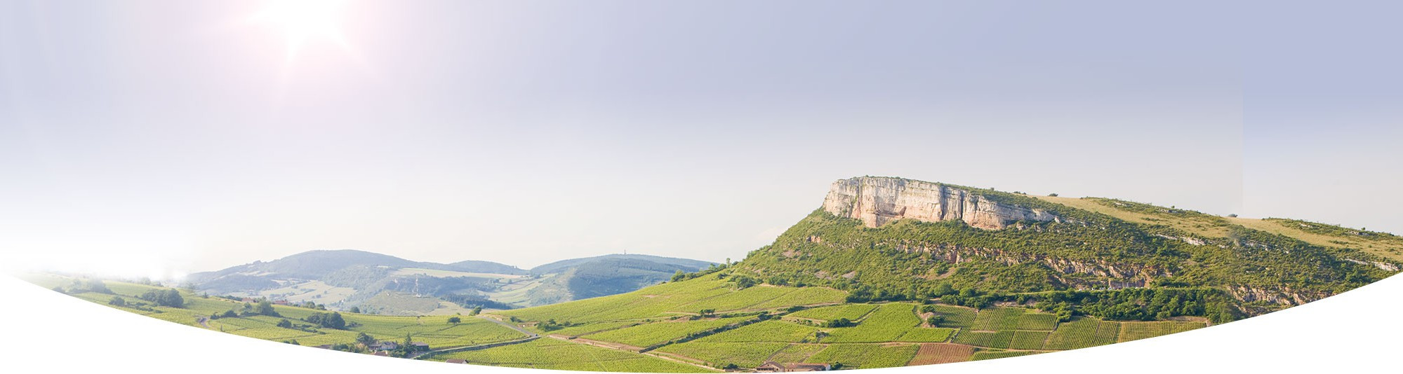 Domaine Barraud
