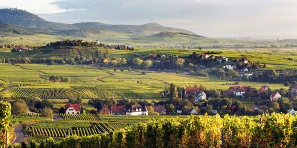 Domaine Baumann-Zirgel