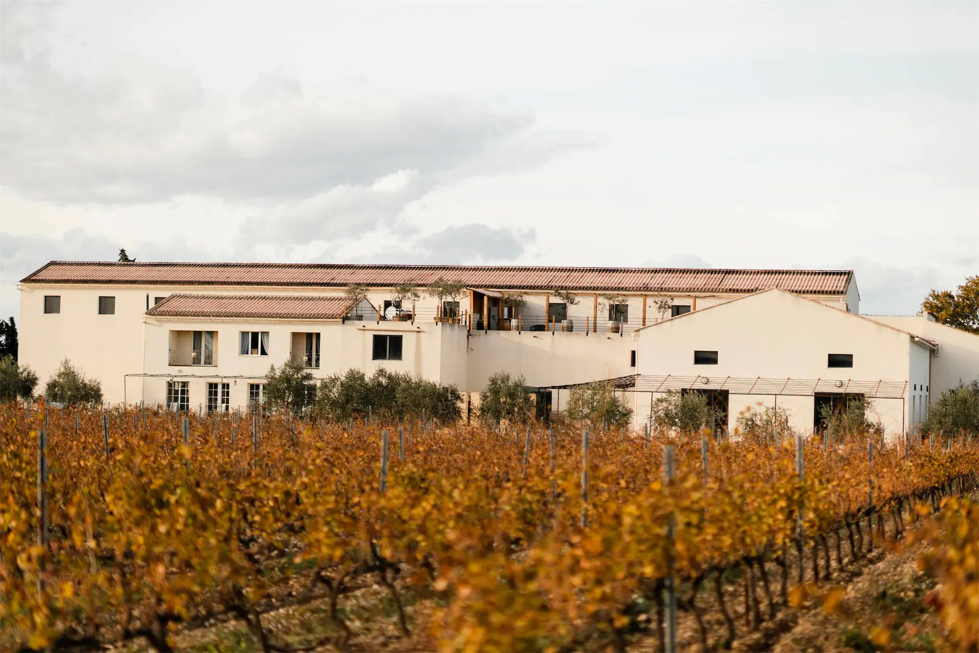Domaine Benedetti