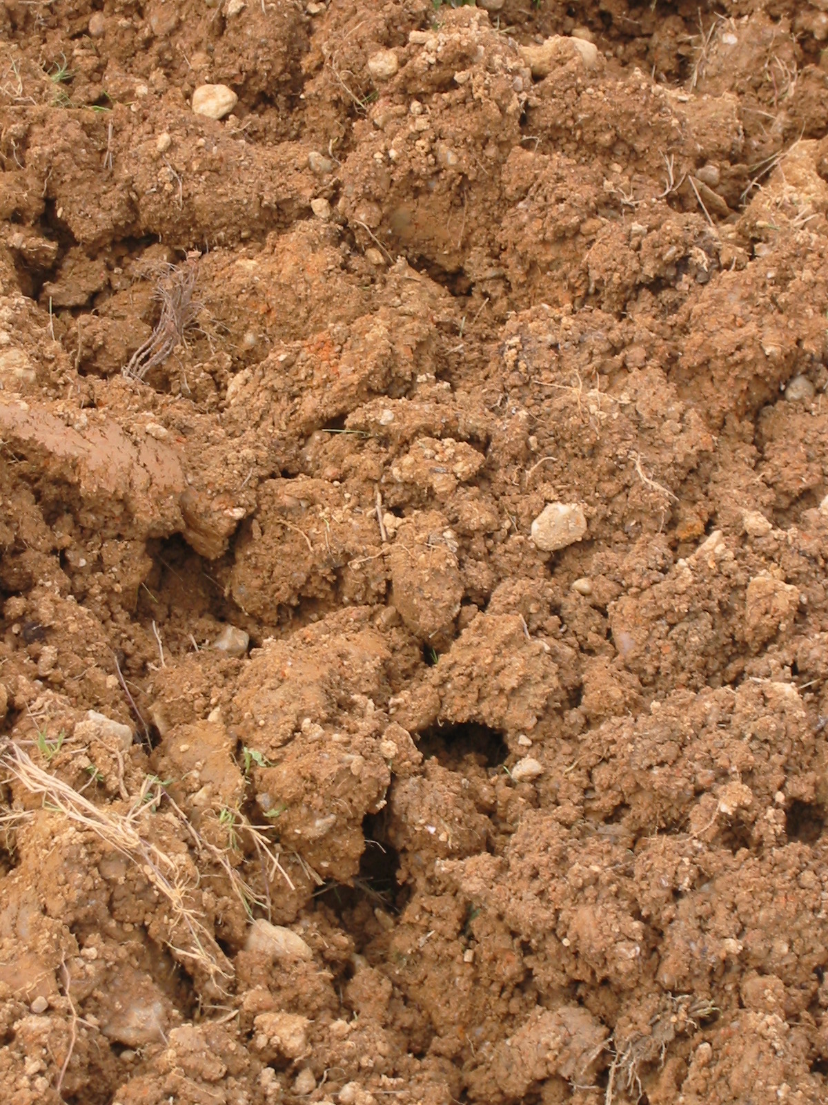 Domaine Bertin Delatte