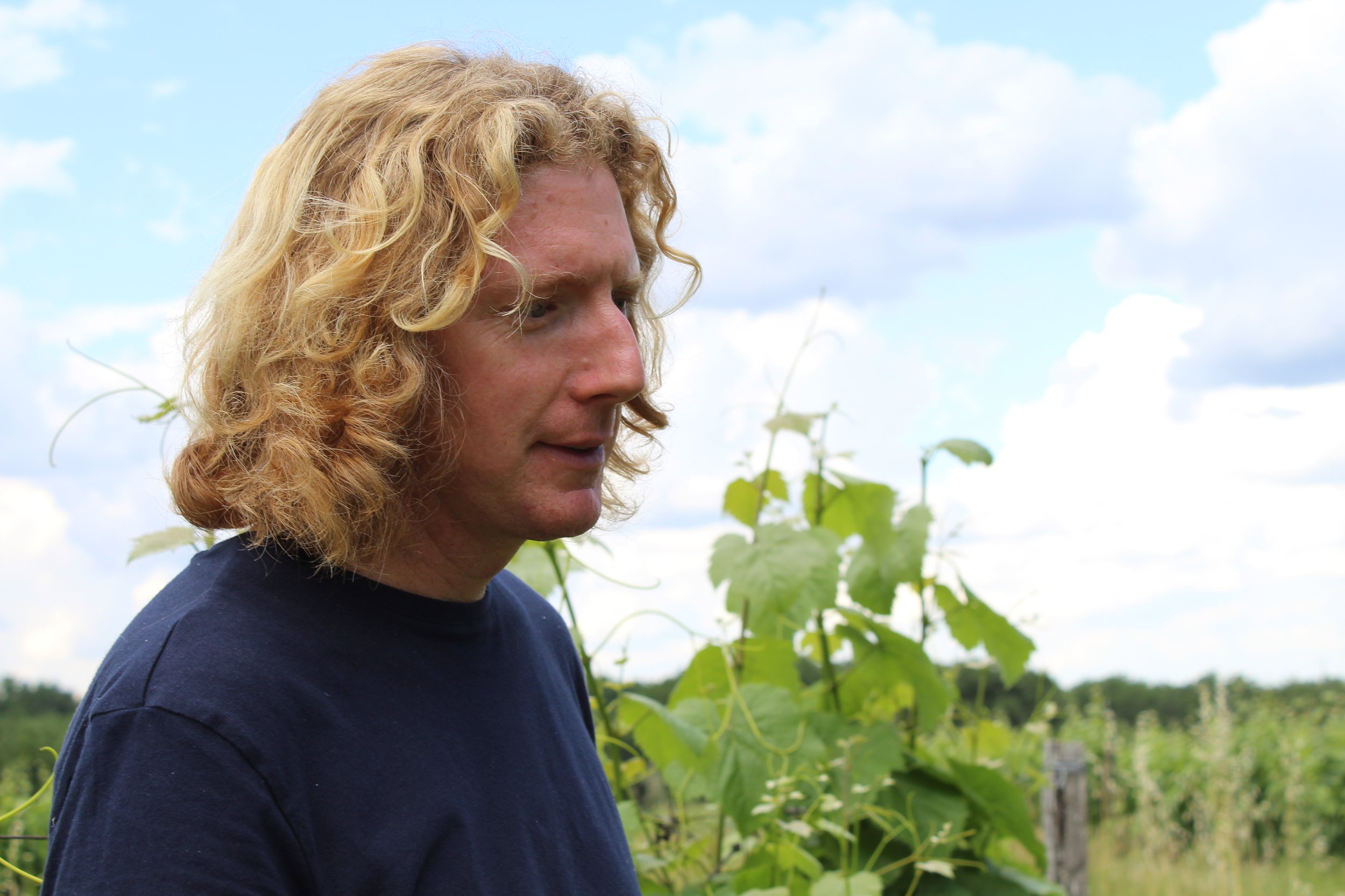 Domaine Bois de Devès