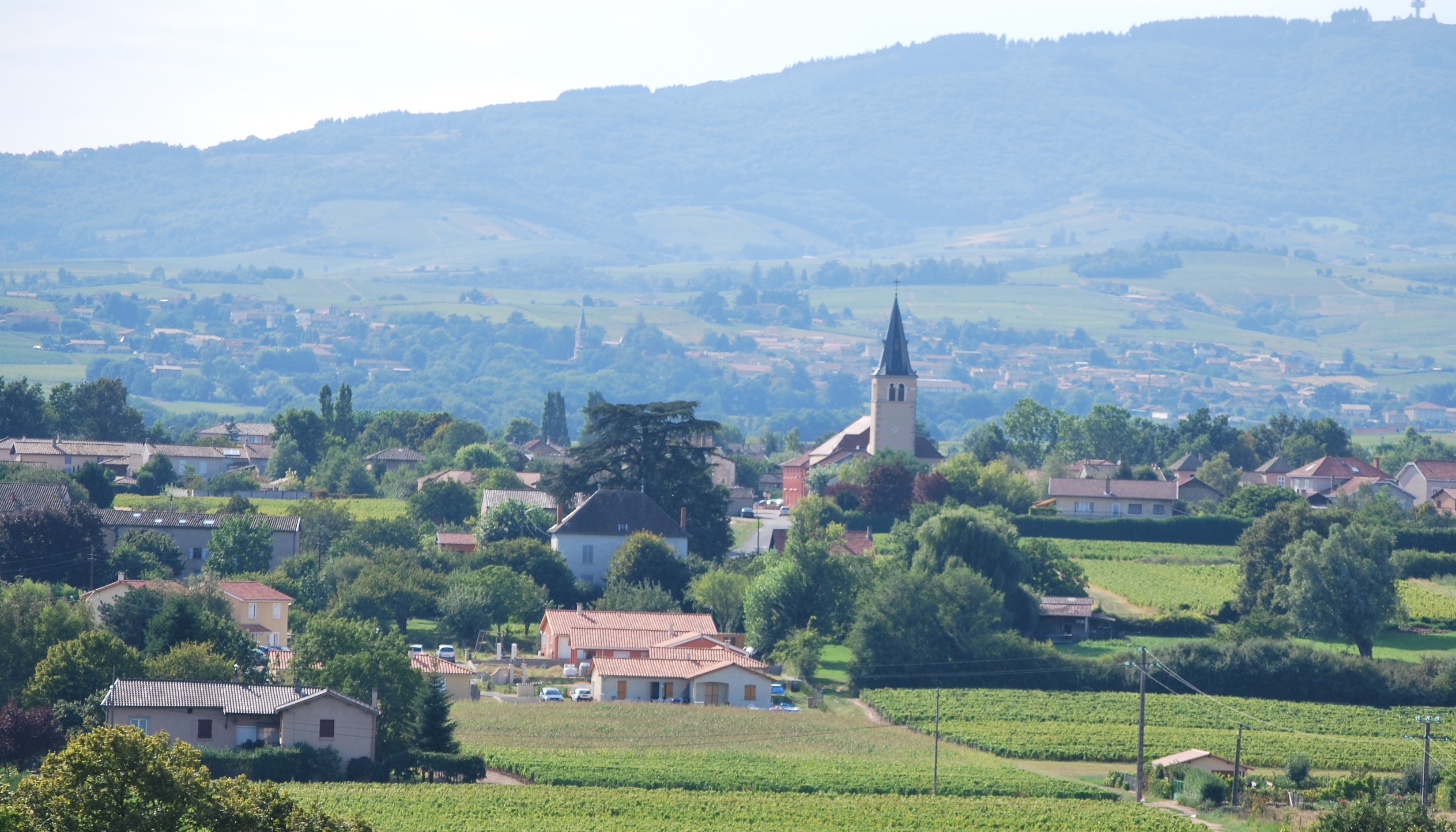 Domaine Boulon