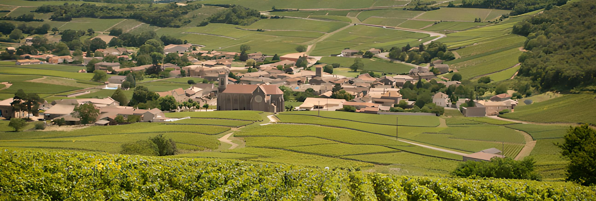 Domaine Bruno Jeandeau