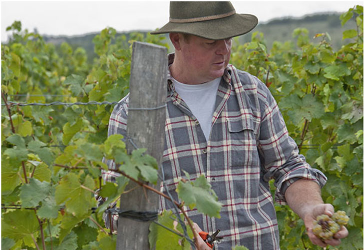 Domaine Campoy
