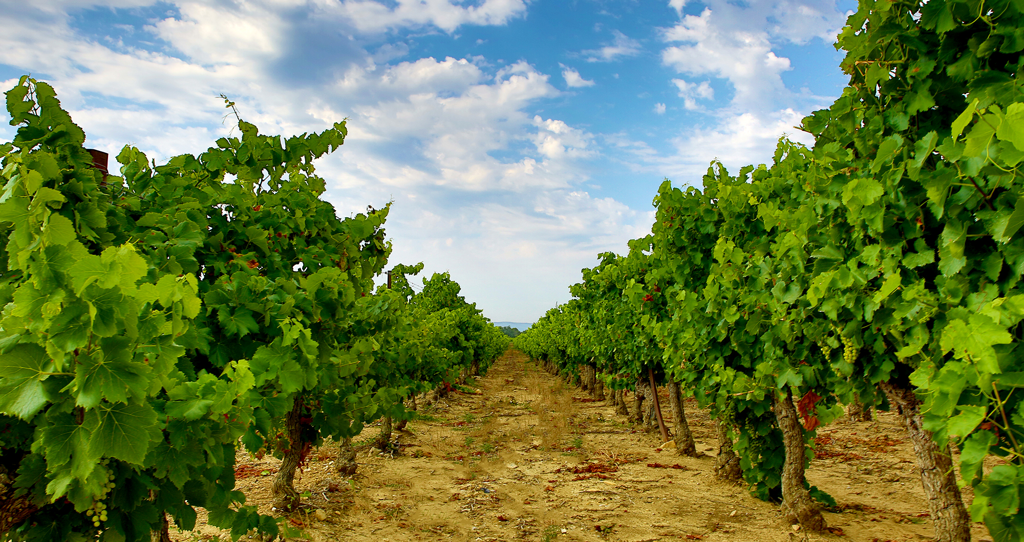 Domaine Chabrier et Fils