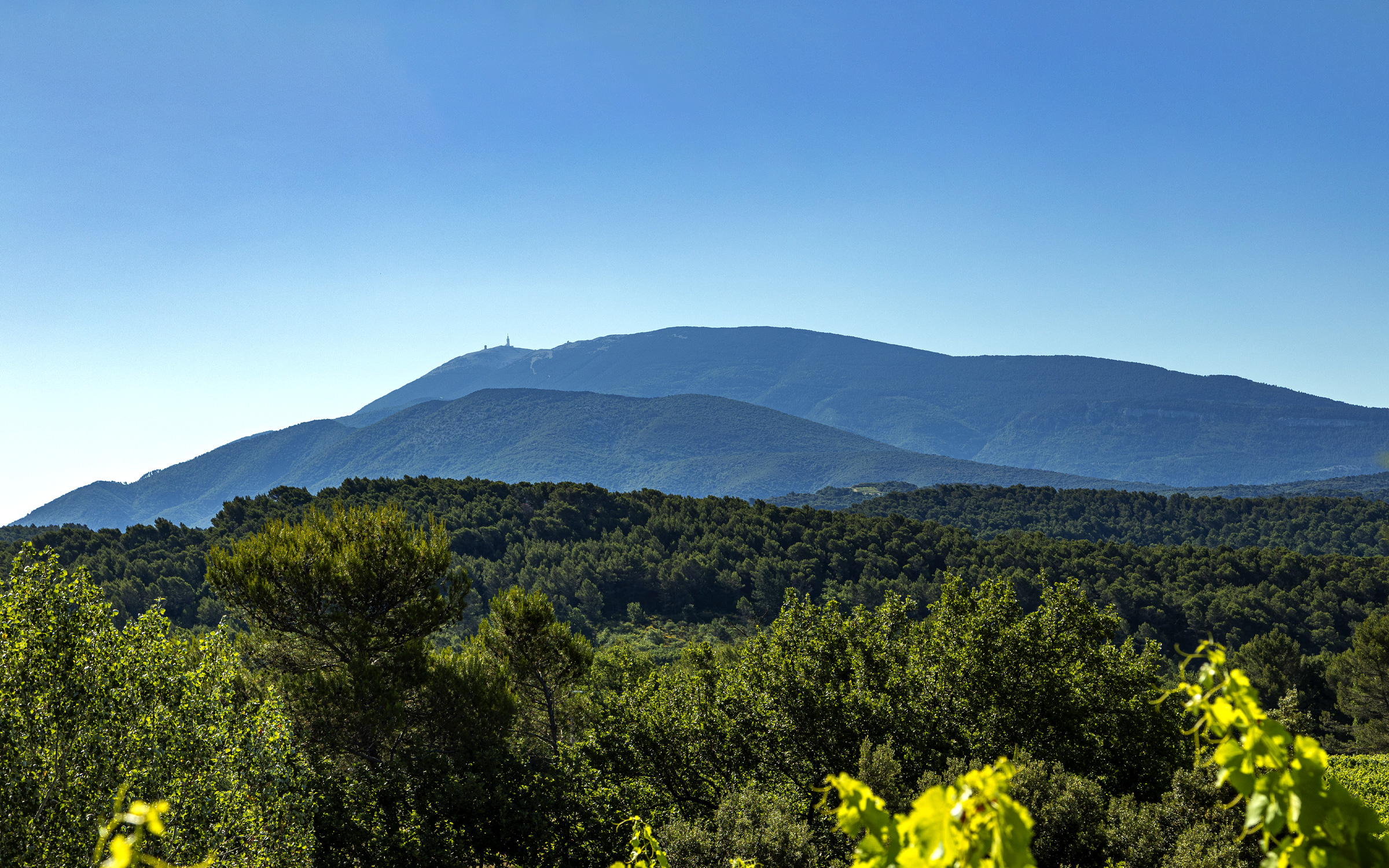 Domaine Champ-Long