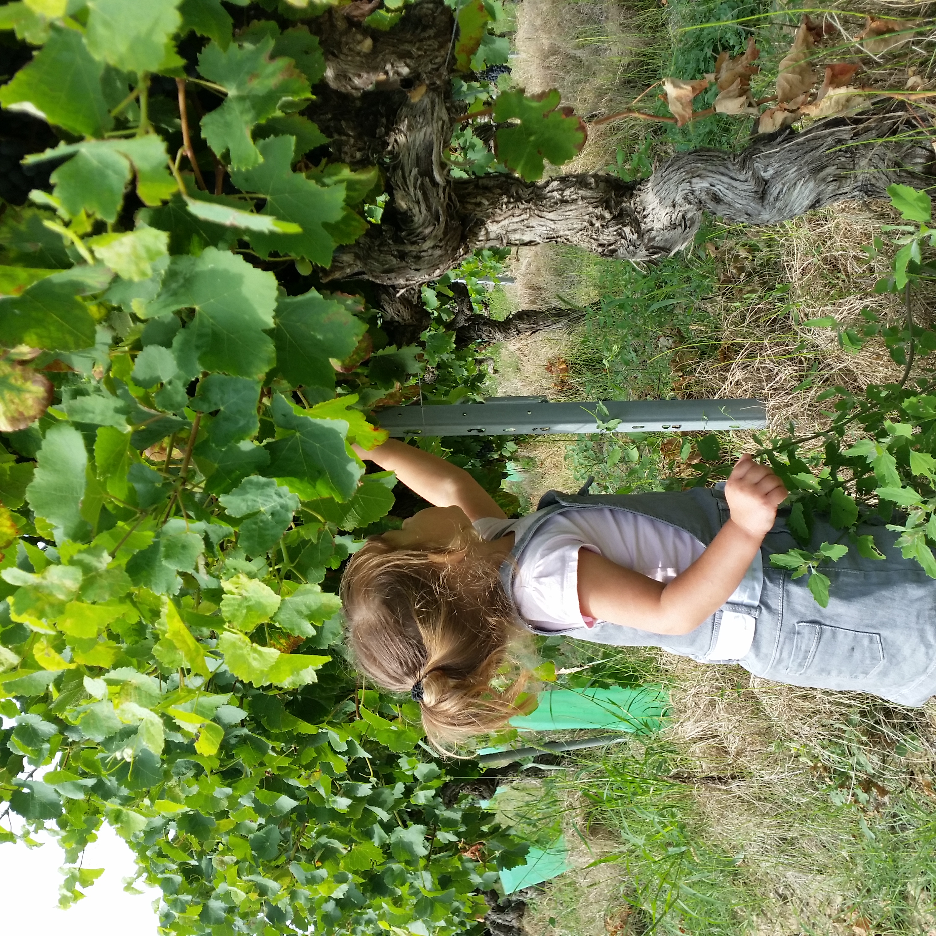 Domaine Chantegrives