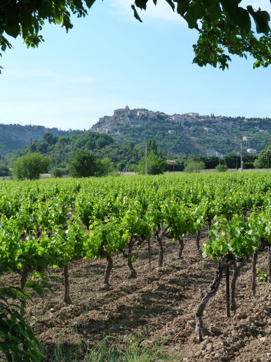 Domaine Chapelle Saint Heyries