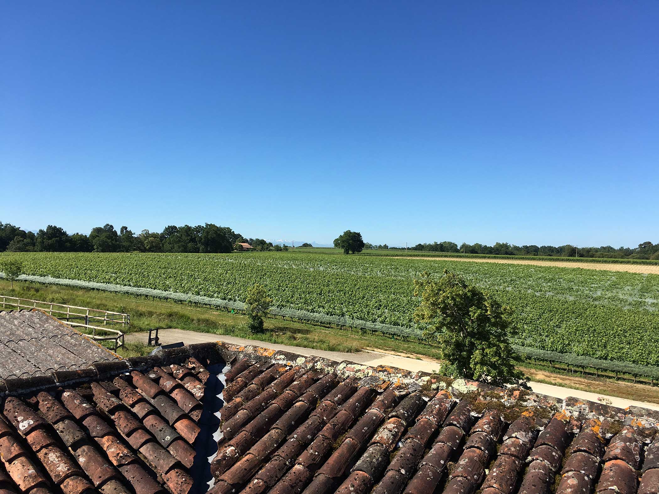 Domaine Chevallier