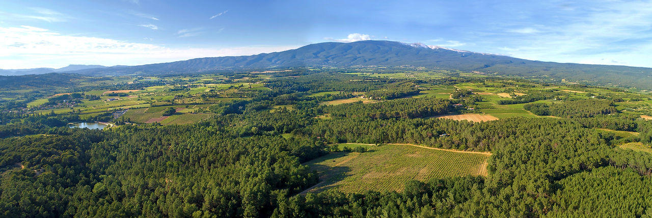 Domaine Childeric