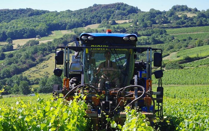Domaine Christelle Greffet