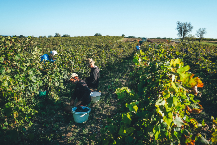 Domaine Cinq Peyres